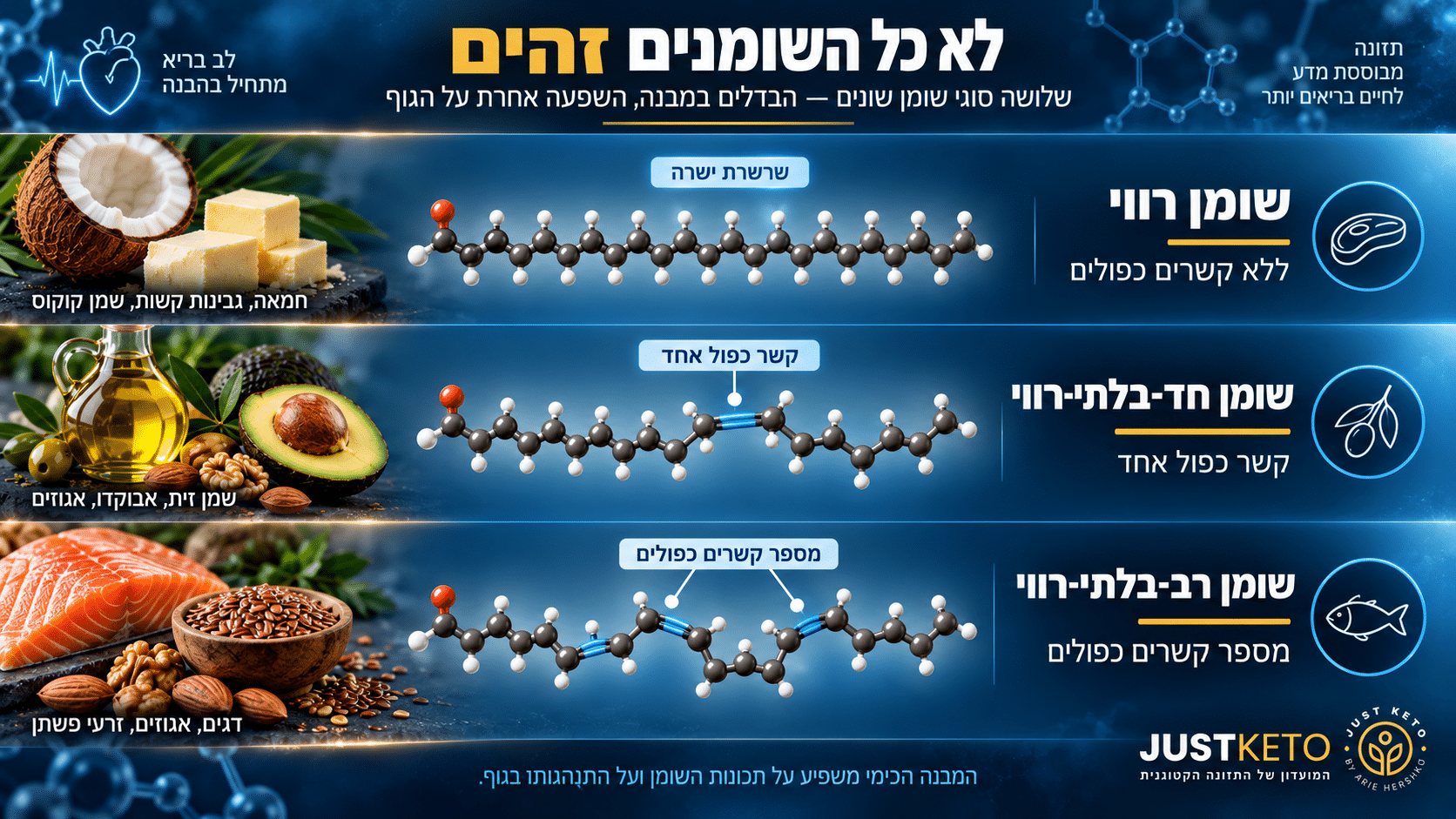 השוואה חזותית בין שומן רווי, חד־בלתי־רווי ורב־בלתי־רווי