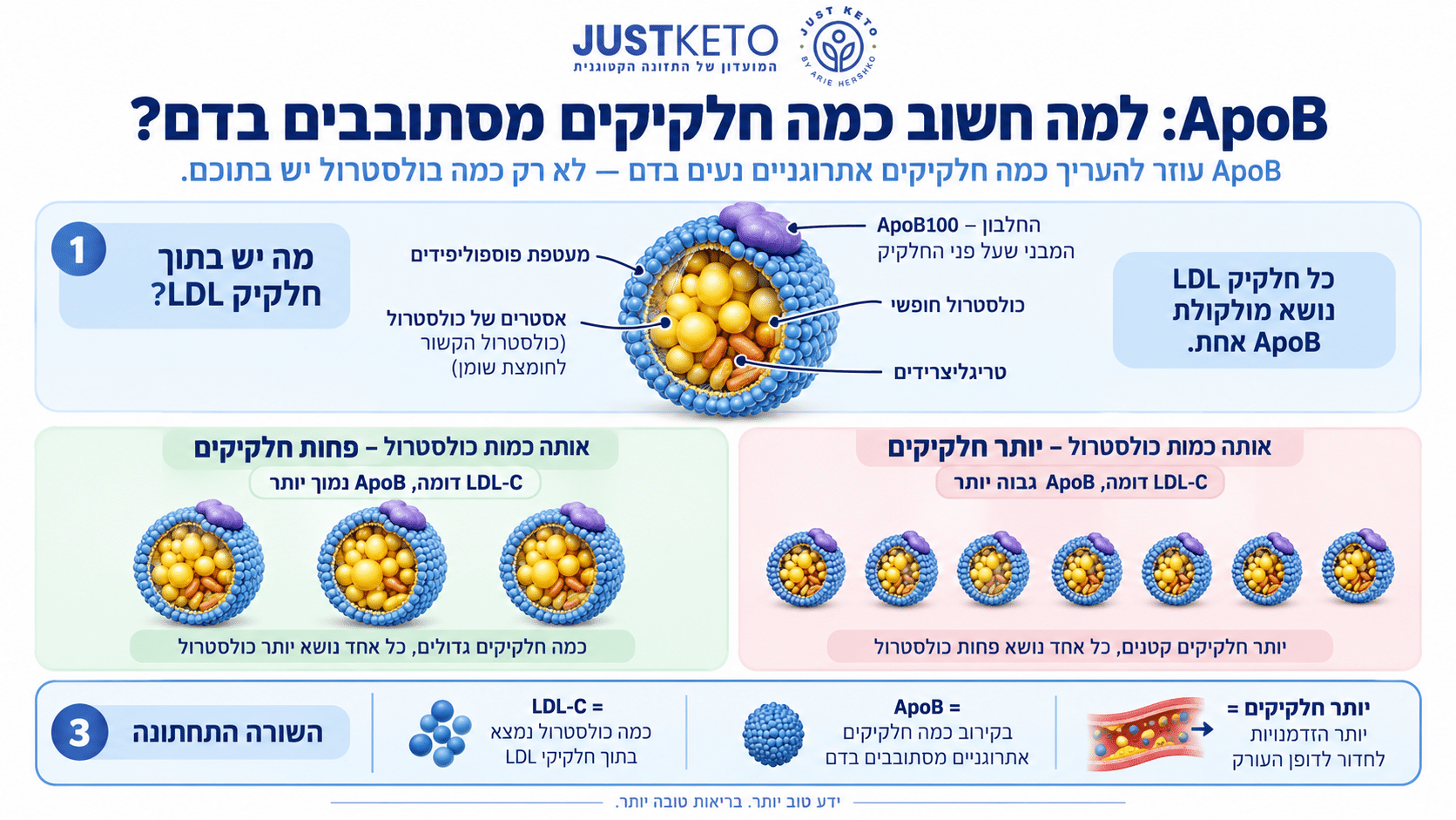 איור המשווה כמות כולסטרול בחלקיקי LDL למספר החלקיקים, שעליו מסייע להעיד ApoB