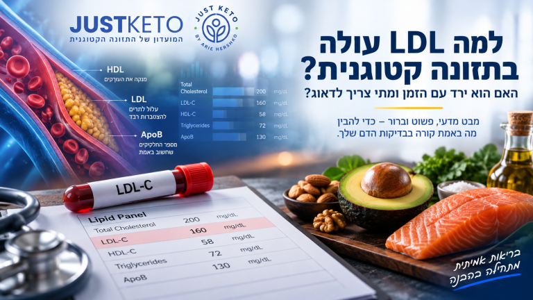 איור מאמר JUSTKETO בנושא עליית LDL בתזונה קטוגנית, בדיקת שומנים בדם, ApoB ותזונה קטוגנית